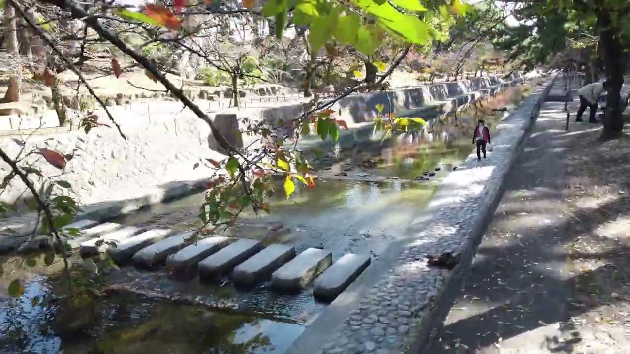 Autumn Colors in Japan   Shukugawa