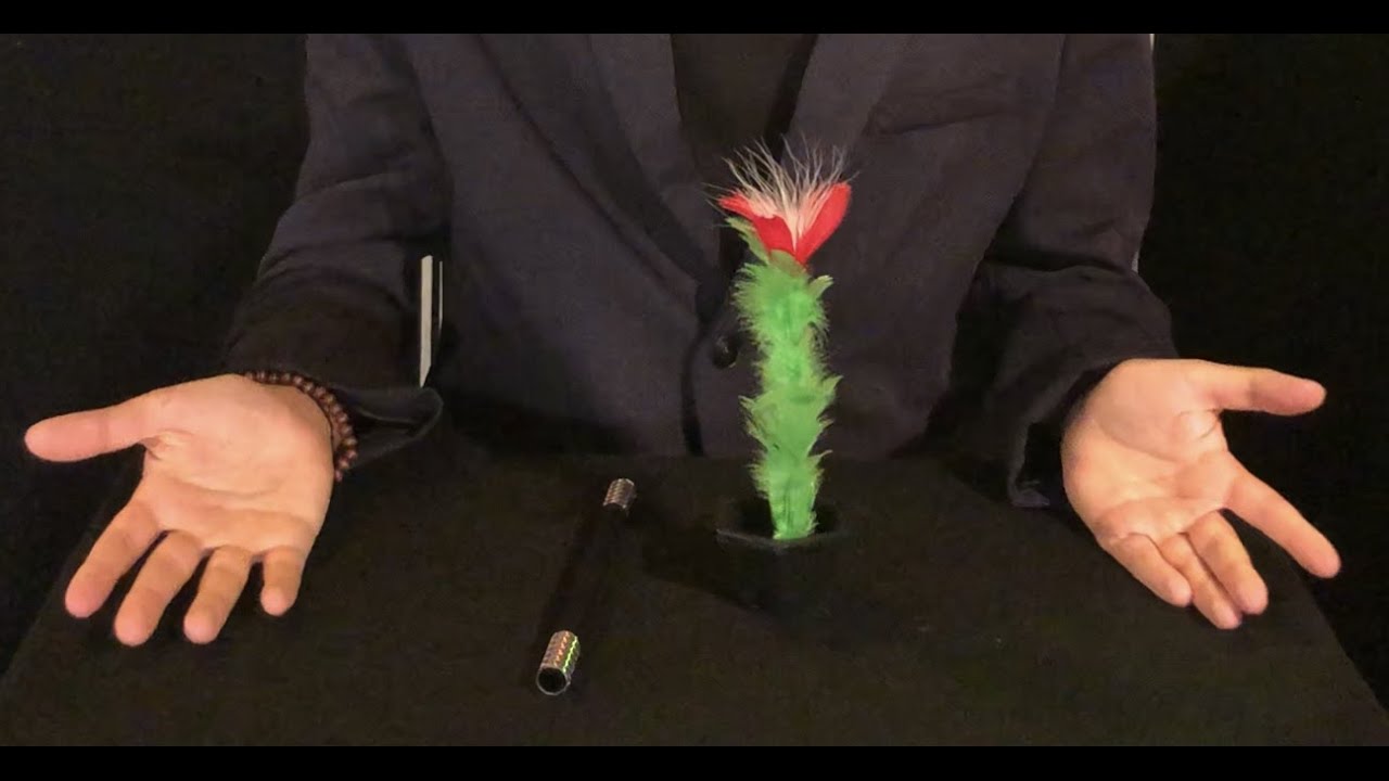 Tour de magie expliqué l'apparition d'une fleur