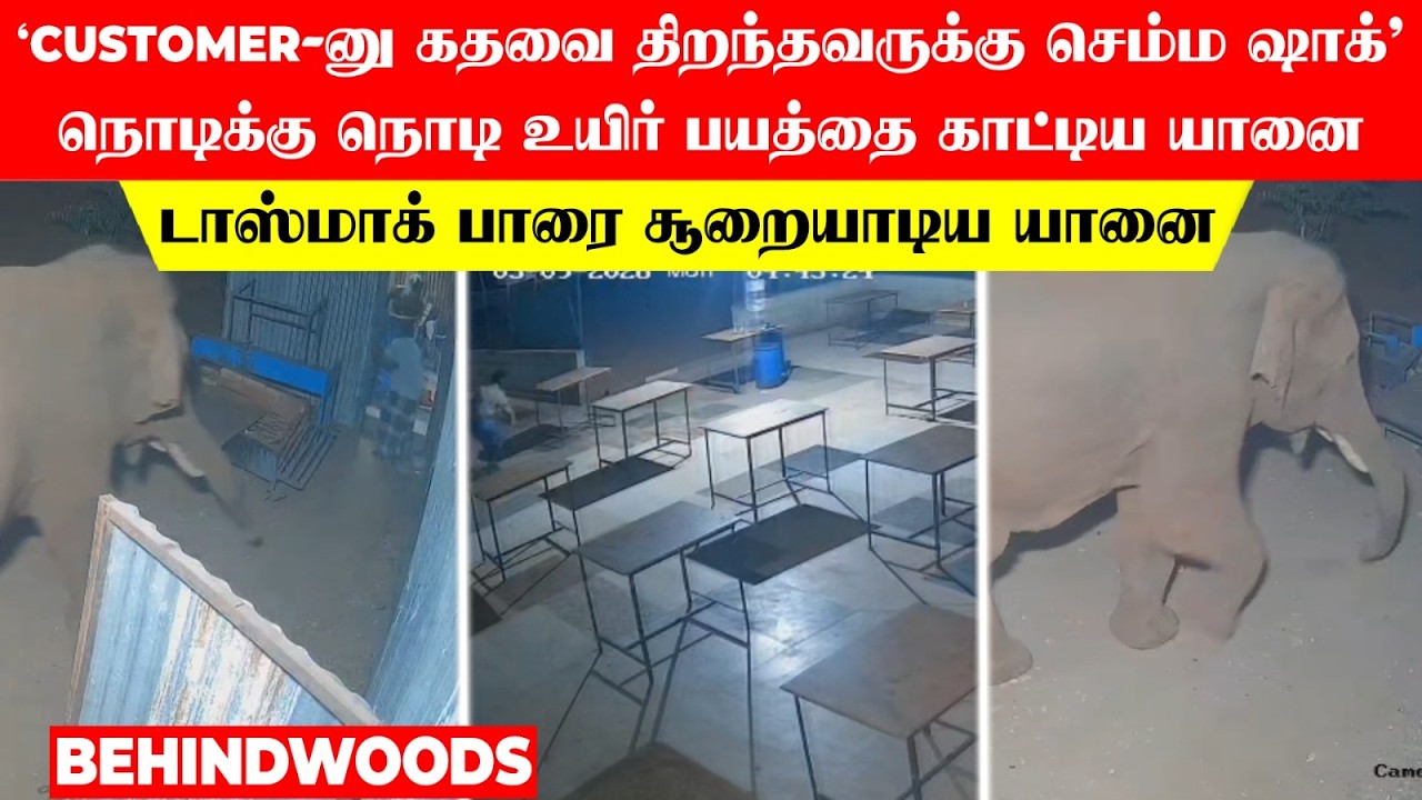 'customer-னு கதவை திறந்தவருக்கு செம்ம ஷாக்' நொடிக்கு நொடி உயிர் பயத்தை காட்டிய யானை!..