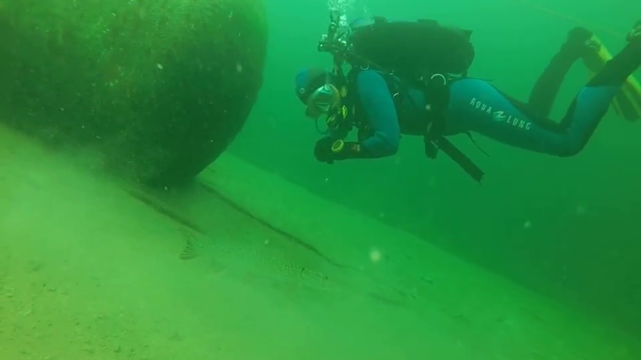 Spotkaliśmy szczupaka pod wodą - CENTRUM NURKOWE AQUA AGA TORUŃ