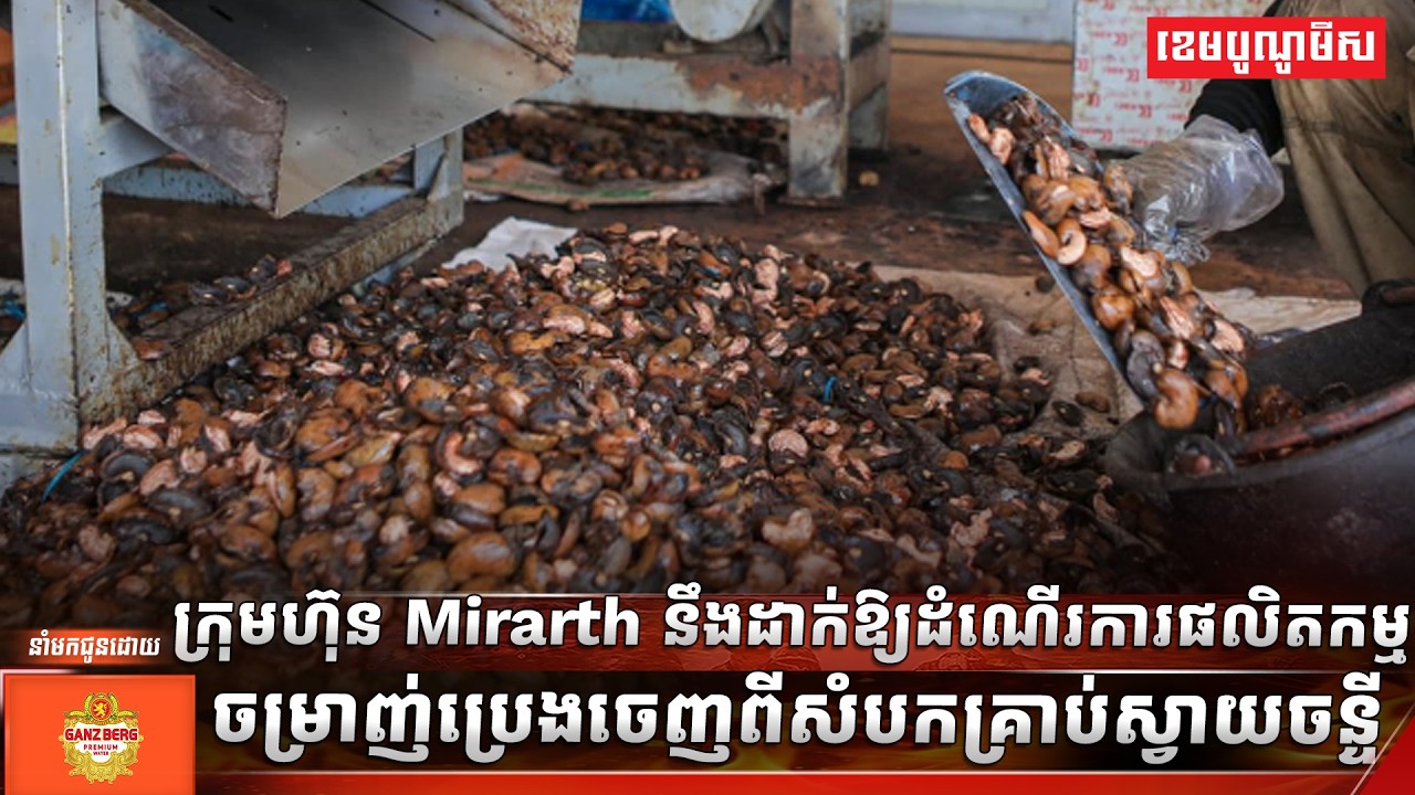 ក្រុមហ៊ុន Mirarth នឹងដាក់ឱ្យដំណើរការផលិតកម្មចម្រាញ់ប្រេងចេញពីសំបកគ្រាប់ស្វាយចន្ទី