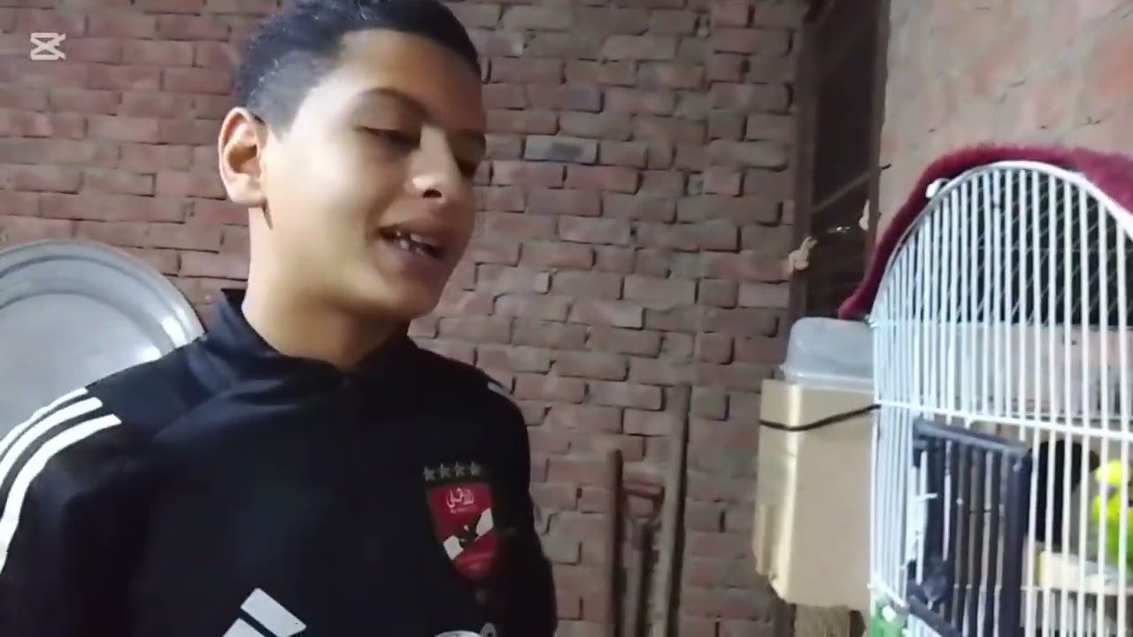 بص القناه الجديده | أية اللي حصل عند الحمام دة ؟