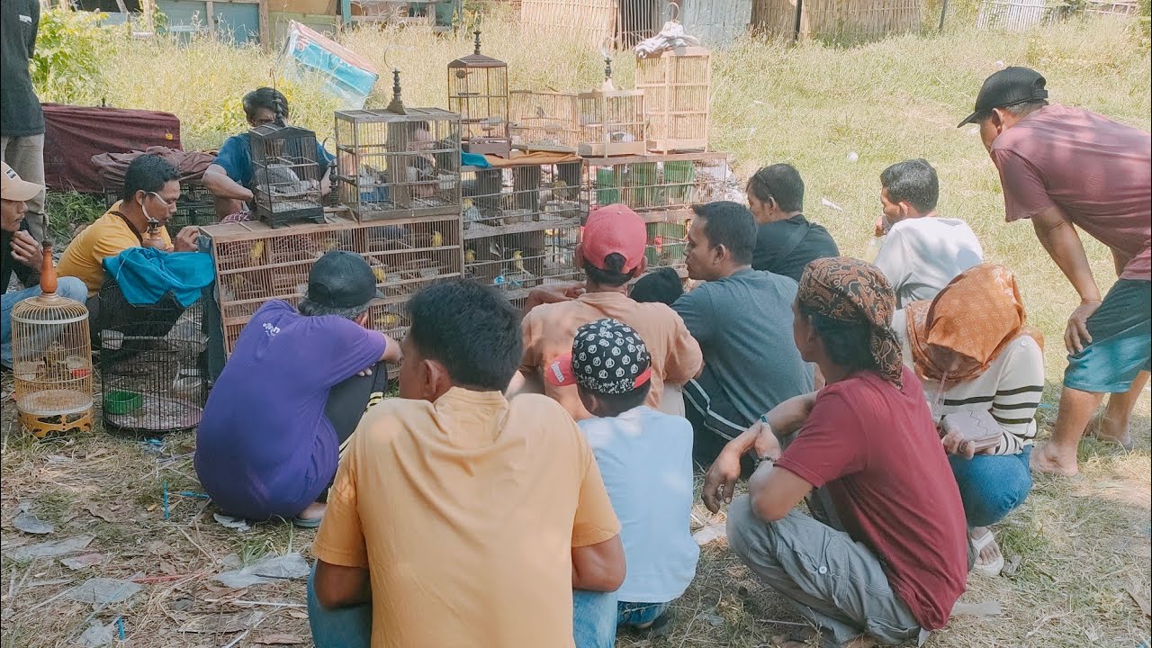 INI MAS NYA JUALAN SAMPE RAMAI KAYA GINI COBA KITA LIAT