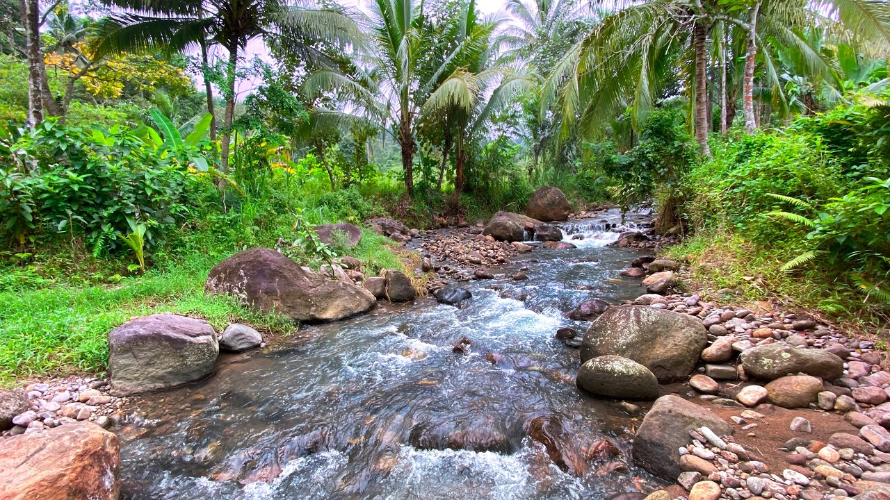 Relax, Unwind and Deep Sleep with Calming Water Sounds Surrounded by Palms, Stones & Peaceful Nature