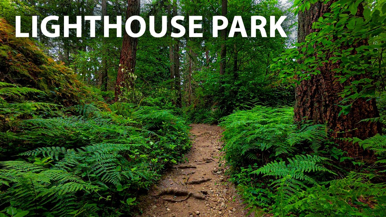Meditative Walk Through Lighthouse Park&rsquo;s Old Growth Forest | Amazing Bird Sounds