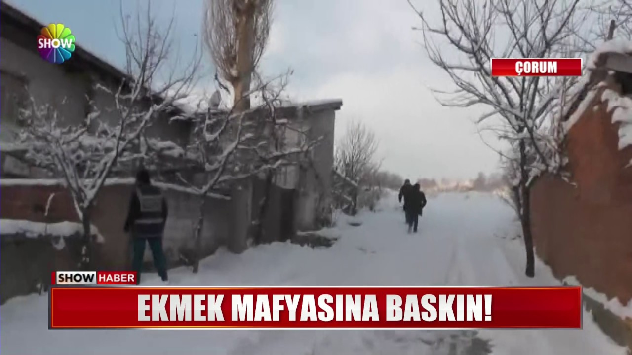 Ekmek mafyasına baskın!