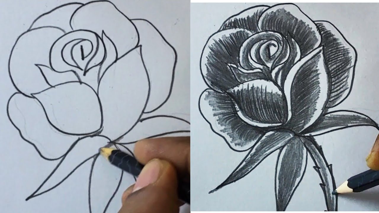 howtodraw flowerdrawing easydrawing Rosedrawing 