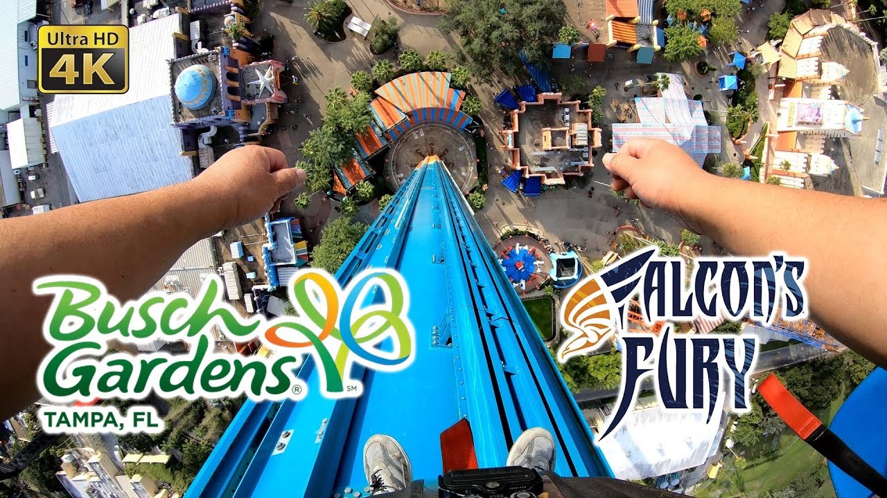 2018 Falcon's Fury 335 ft Drop Tower On RIde Ultra HD 4k POV Busch Gardens Tampa