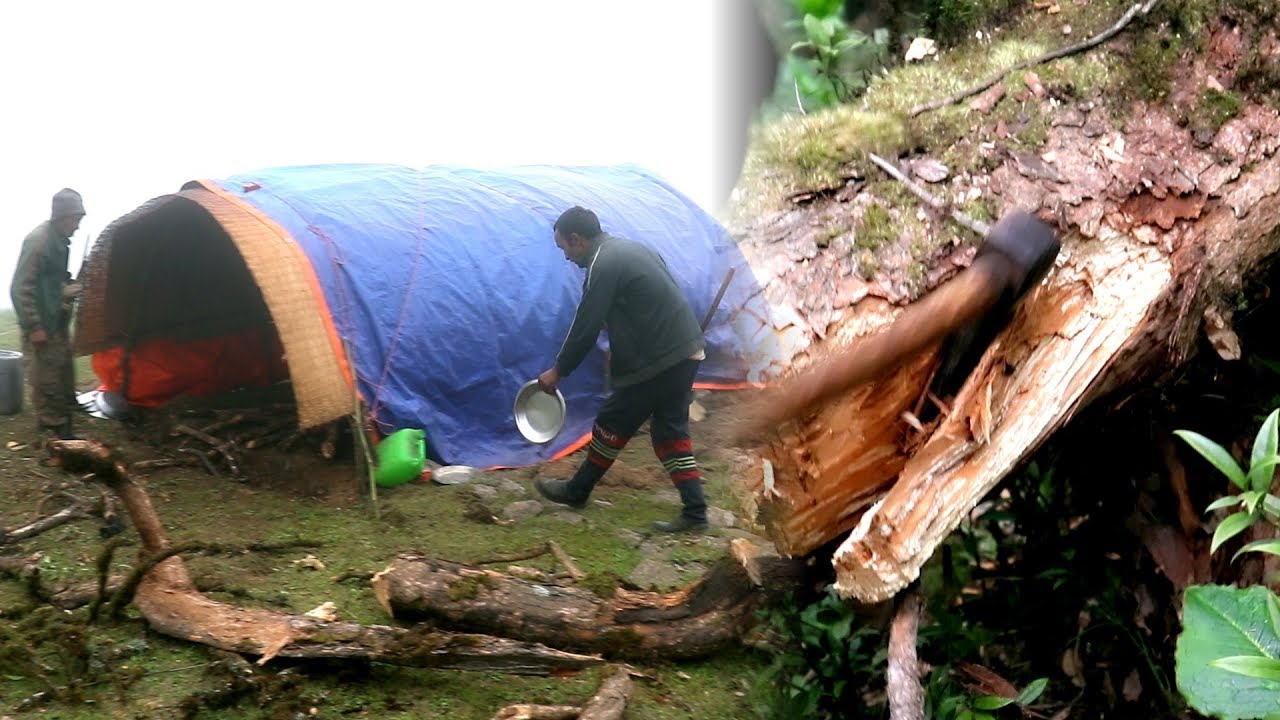 Shepherd & Sheep Farm into Himalayan Nepal