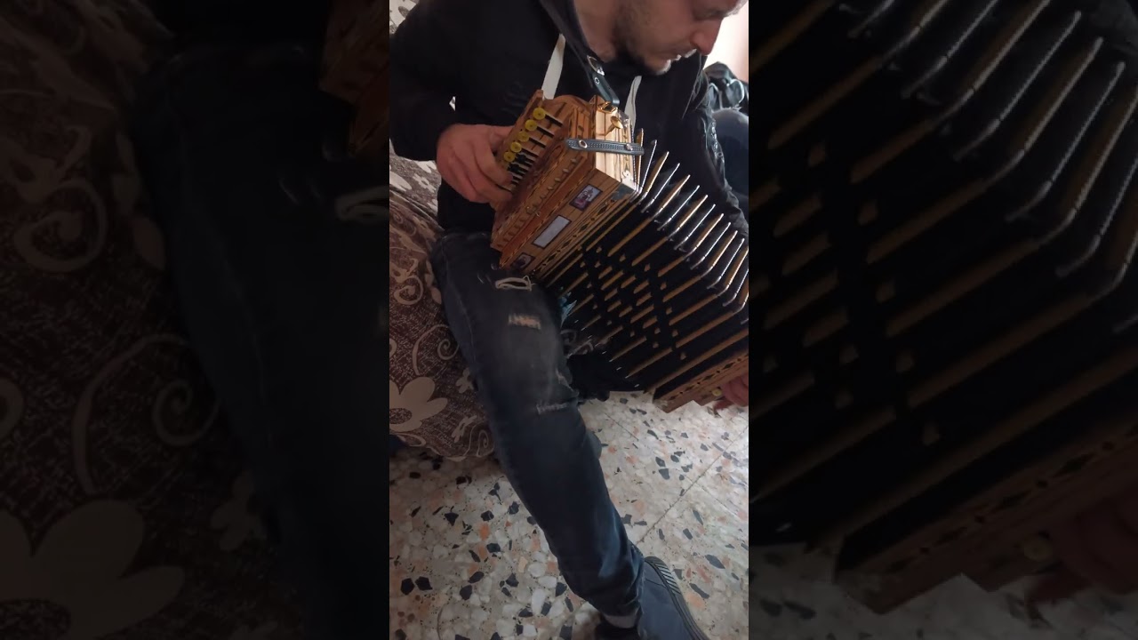 Tarantella Calabrese Bruno Marzano Solo Organetto