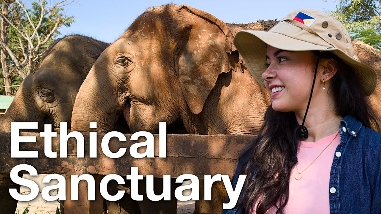 Visiting the MOST ETHICAL Elephant Sanctuary in Thailand 🇹🇭 (Honest Review)