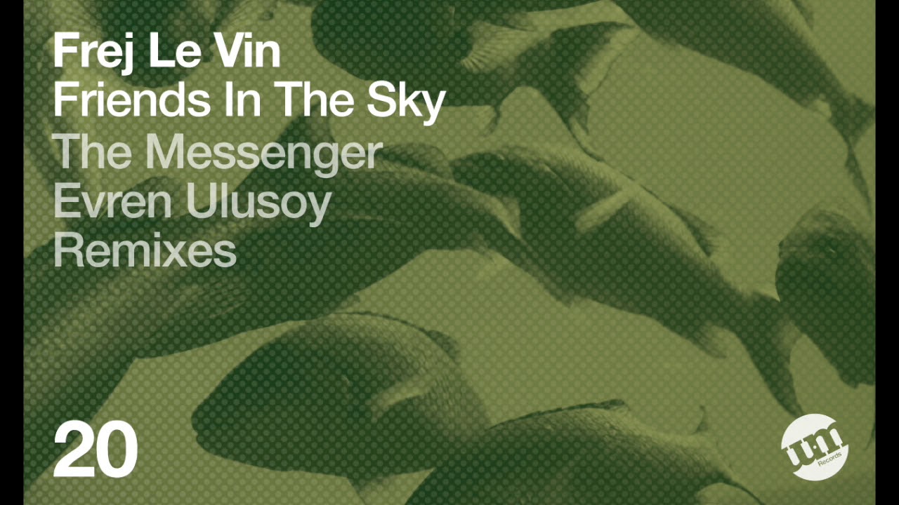 Frej Le Vin - Friends In The Sky (Original Mix)