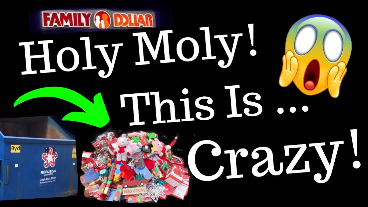 DUMPSTER DIVING - They Threw A MOUNTAIN Of Merchandise In The RECYCLE Bin! & A Fresh FOOD Score!