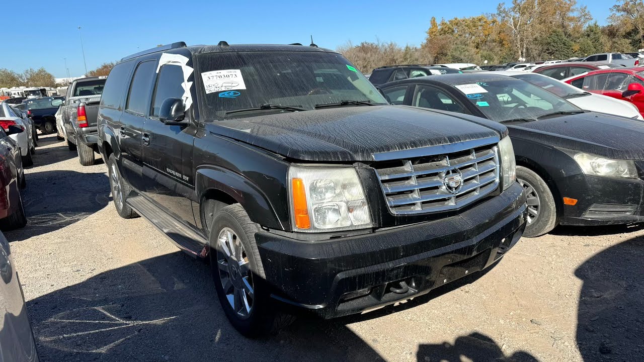Я выигрываю Cadillac Escalade Platinum ESV от IAA за 325 долларов.