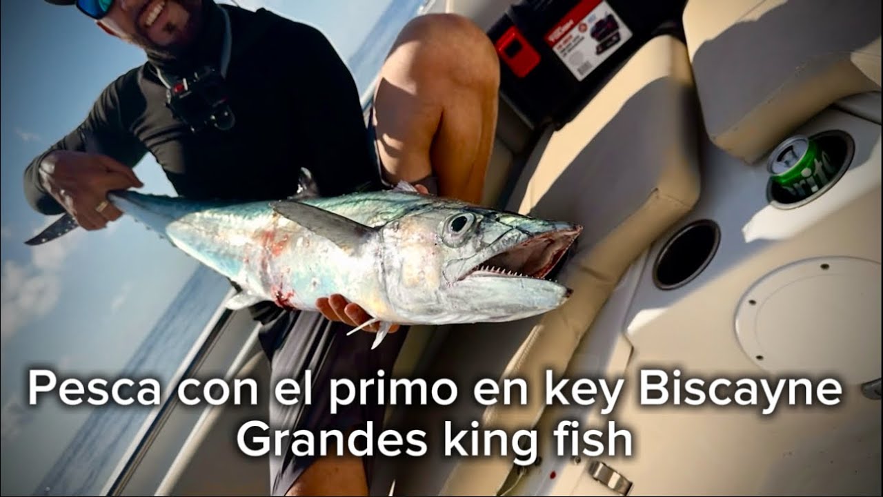 Pesca de kingfish grandes y más