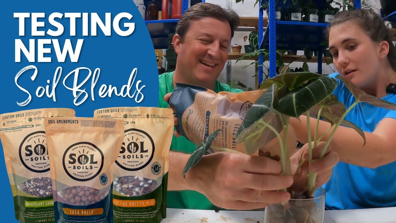 Potting Soil Review:  Trying New Soil Blends from SOL Soils