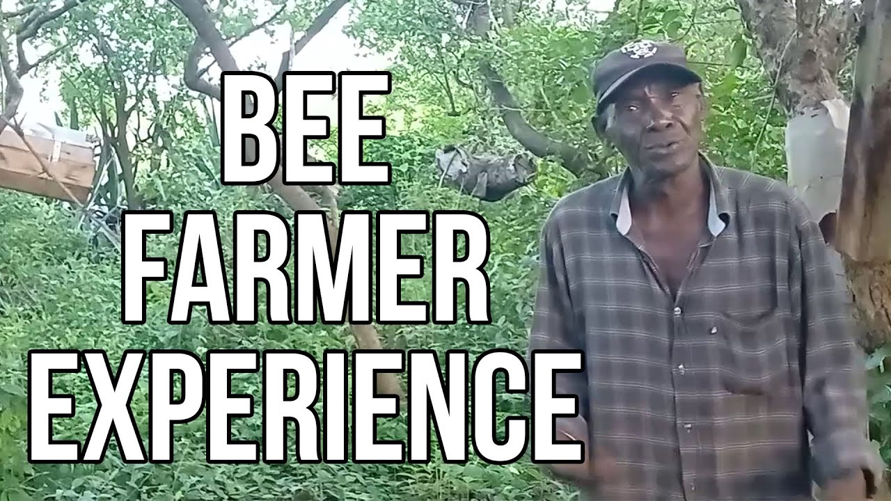 Bee farmer experience - Beelove Apiaries
