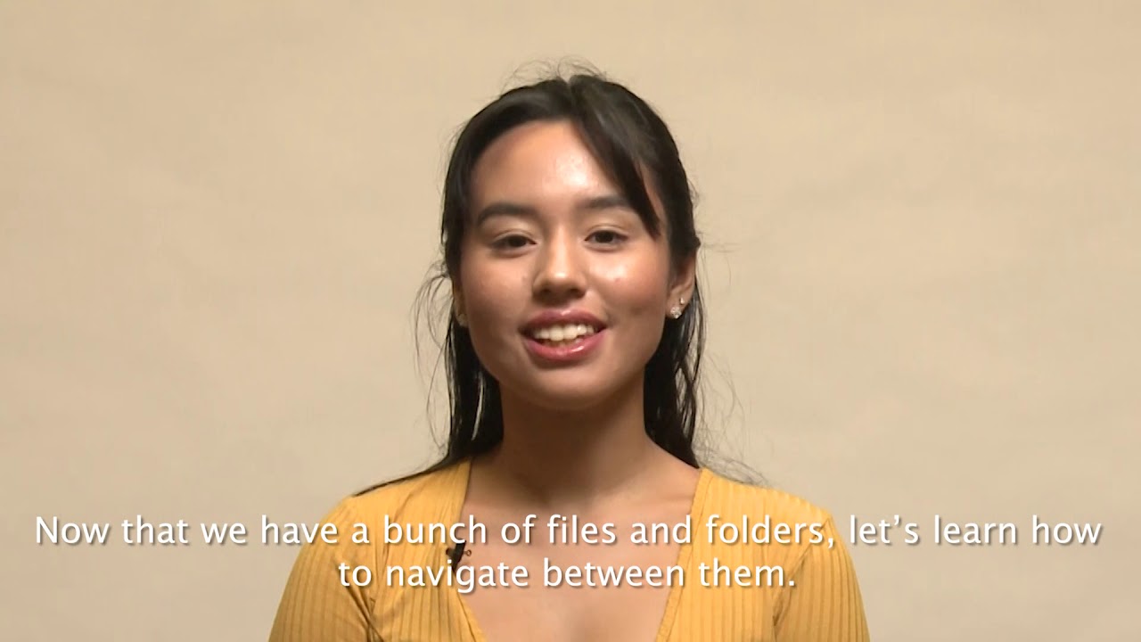 Introduction to CS50 IDE