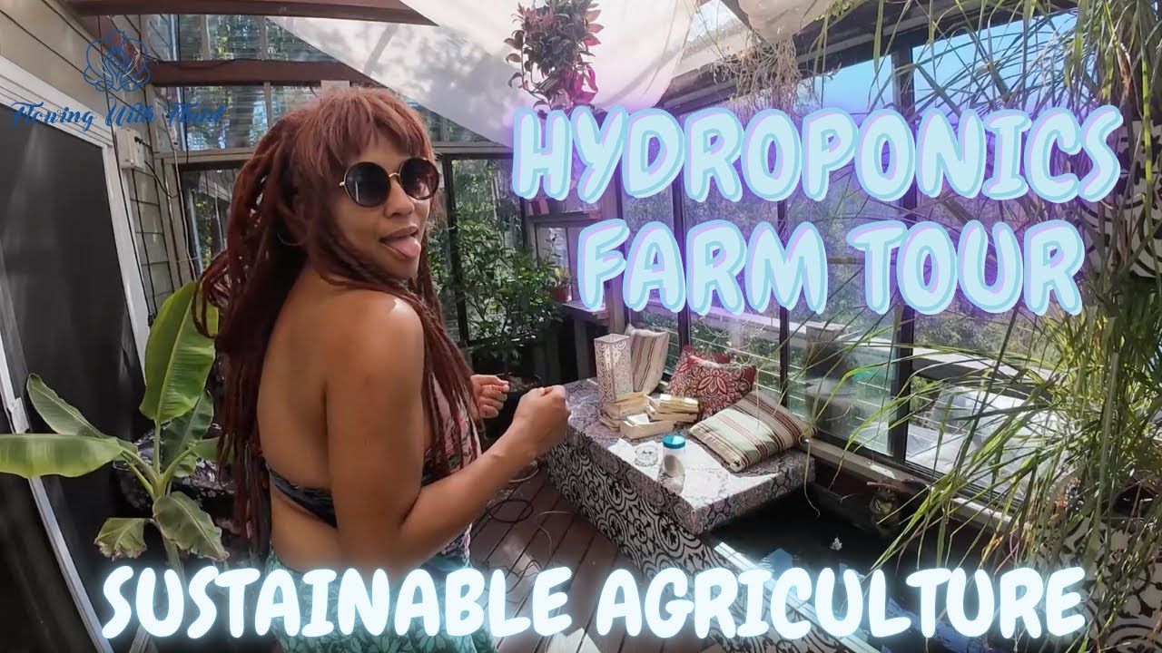 Hydroponics Farm Tour