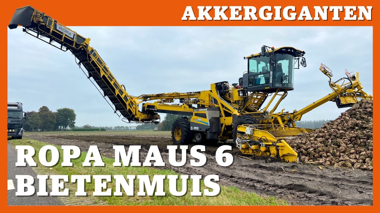 Akkergiganten: Ropa Maus 6 bietenmuis