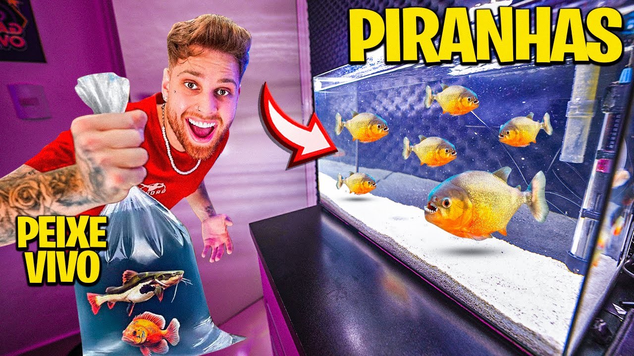 SOLTEI UM PEIXE VIVO NO MEU AQUÁRIO DE PIRANHAS E OLHA O QUE ACONTECEU 😱 IMPRESSIONANTE