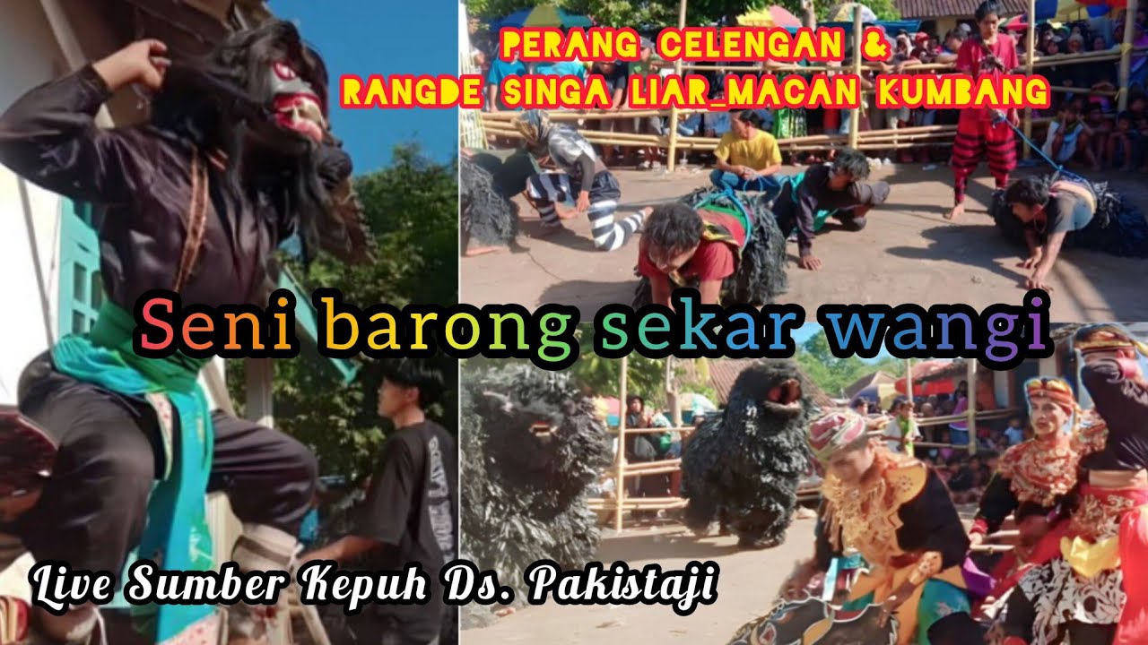 Tari Rangde & Singa Liar Macan Kumbang Barong Sekar Wangi Live Sumber Kepuh Pakistaji