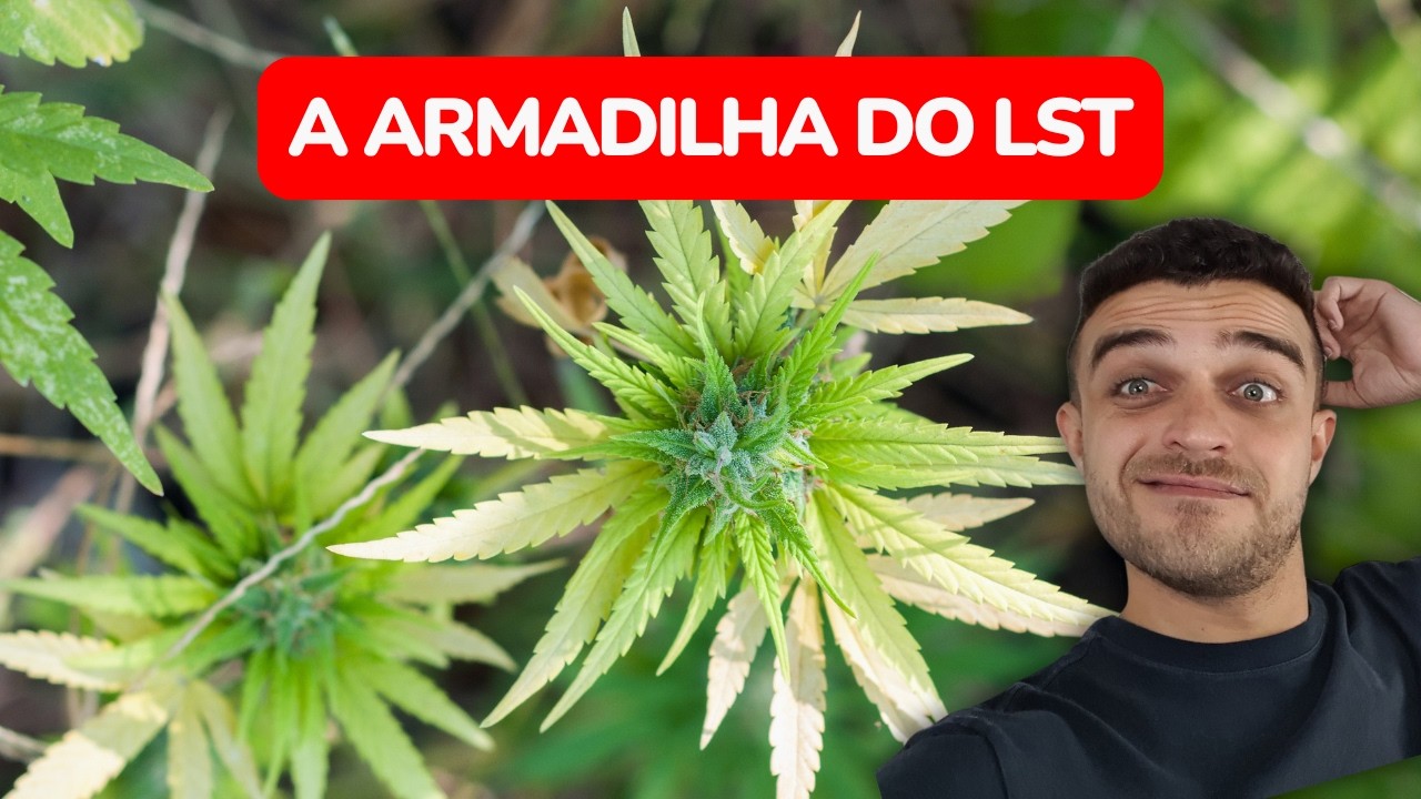 A armadilha do LST (Amarras)