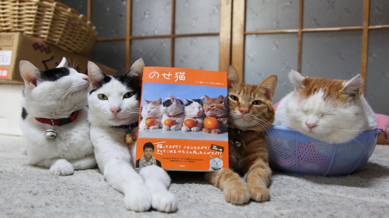 うずまきLIVE配信？　放置？　朝まで？　2026年3月8日