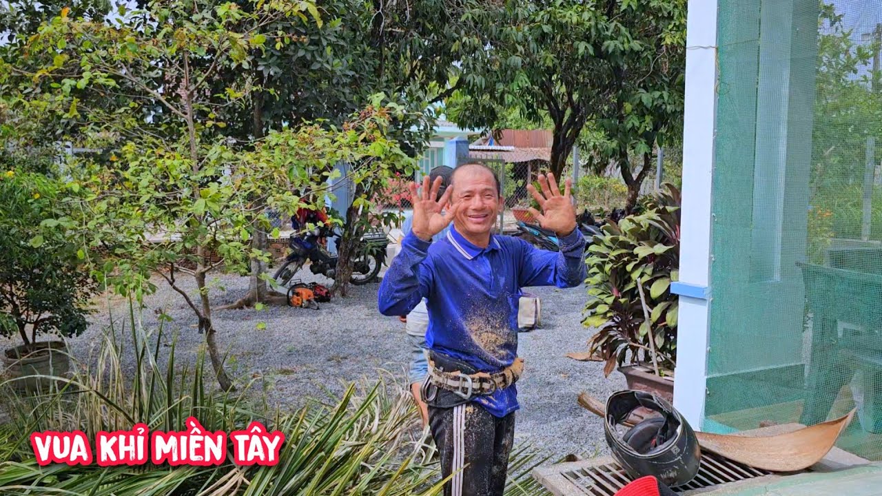 Chủ nhà kế bên khó nên không cho Vua Khỉ cưa rớt tàu qua hàng rào.