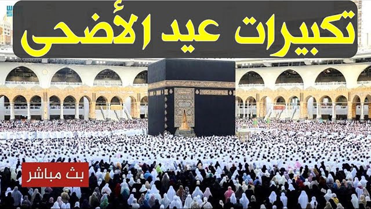 بث مباشر تكبيرات عيد الأضحى المبارك تملأ سماء الكعبة الآن! لنجعل التكبير يملأ الدنيا Takbirat Hajj!!