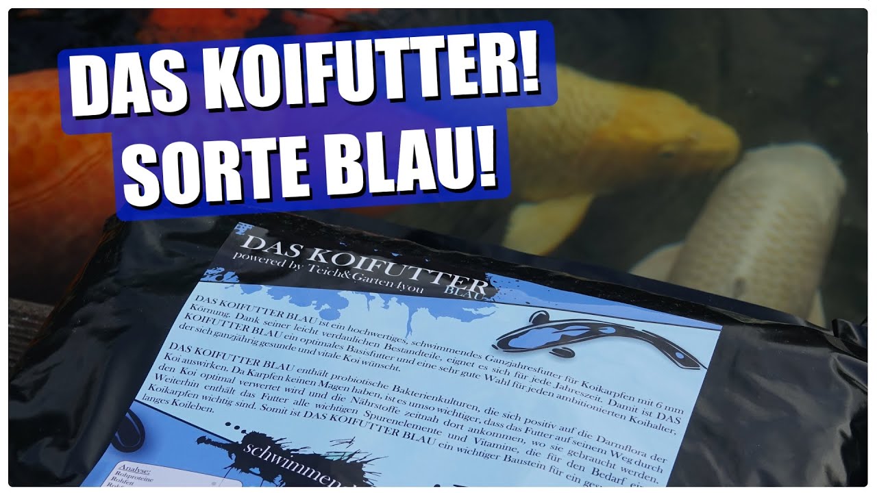 DAS KOIFUTTER BLAU