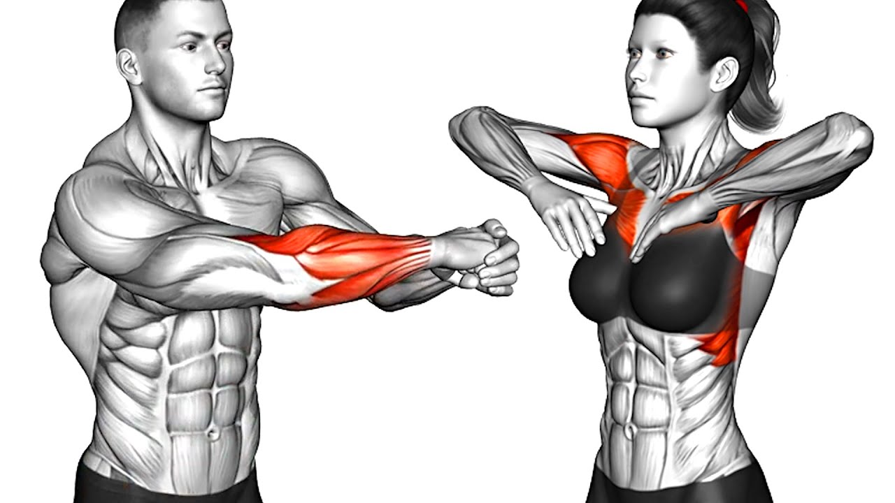 Do This 5 Minute Arms Workout (Warm Up No Equipment)