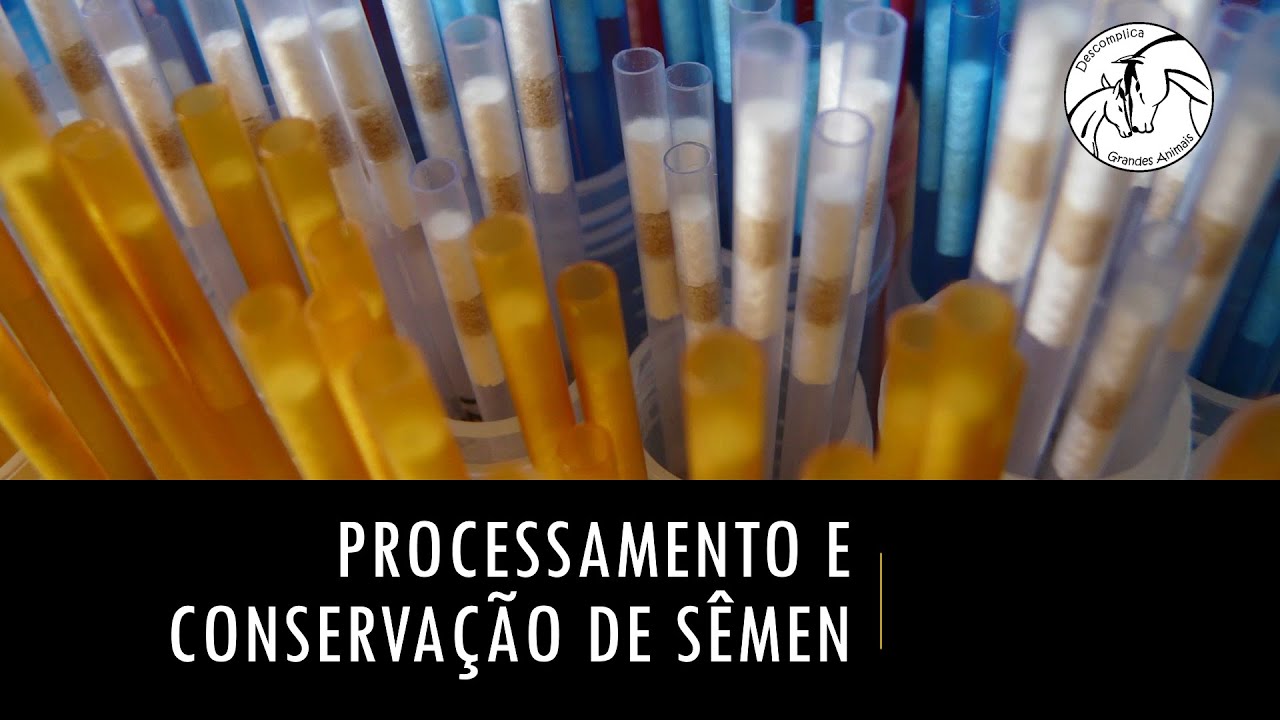 Conservação de sêmen em Medicina Veterinária