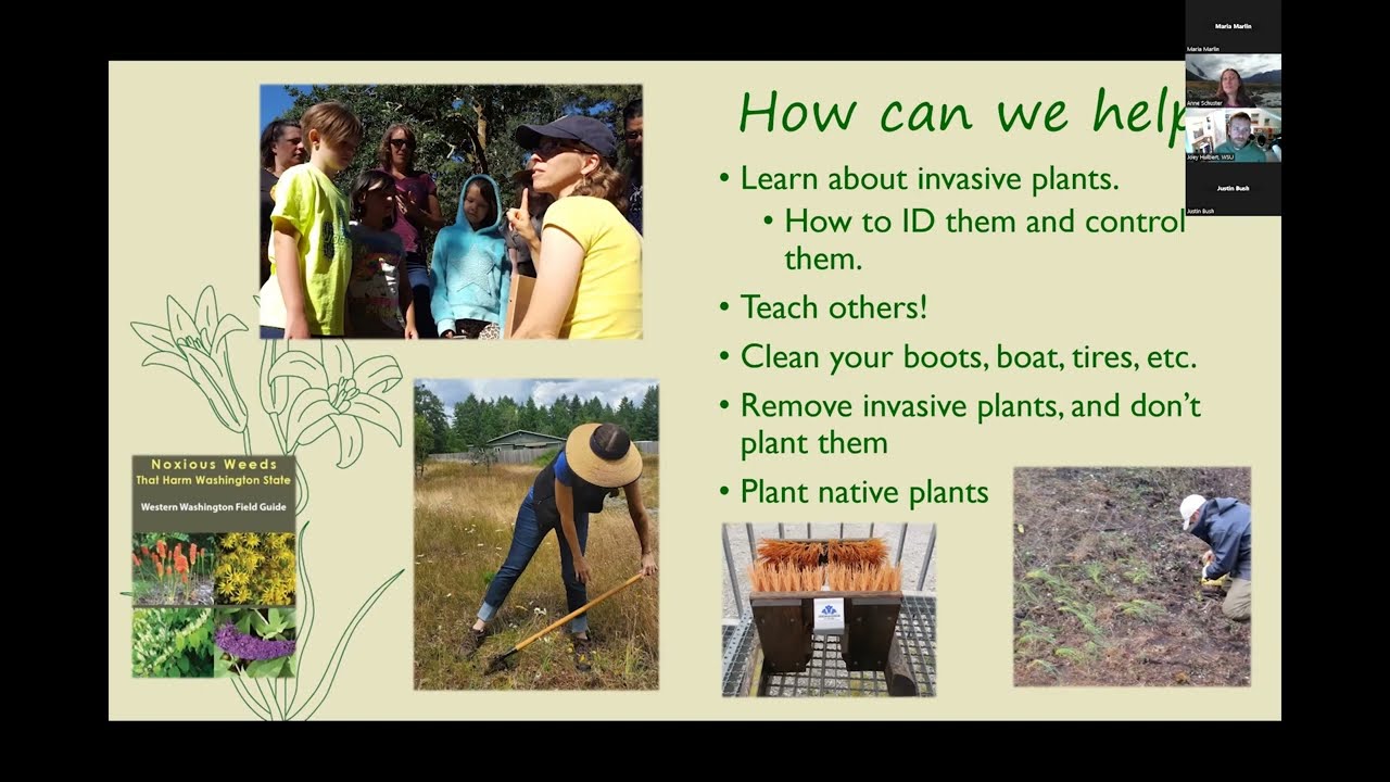 Noxious weeds in Washington
