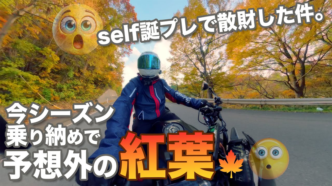 【ツーリング】今シーズン乗り納めで思わぬ紅葉。誕生日を迎えself誕プレで散財した件。
