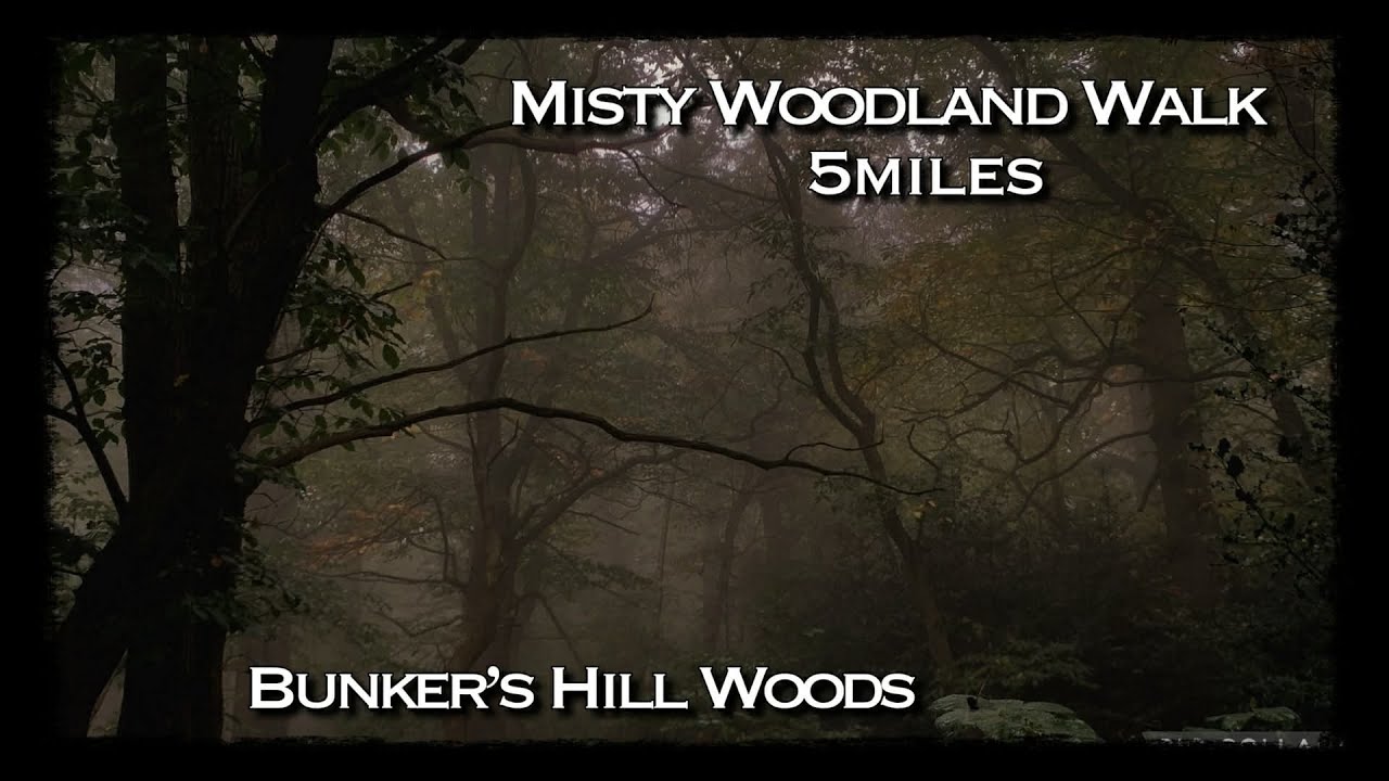 Misty Woodland Walk - Bunker's Hill Woods