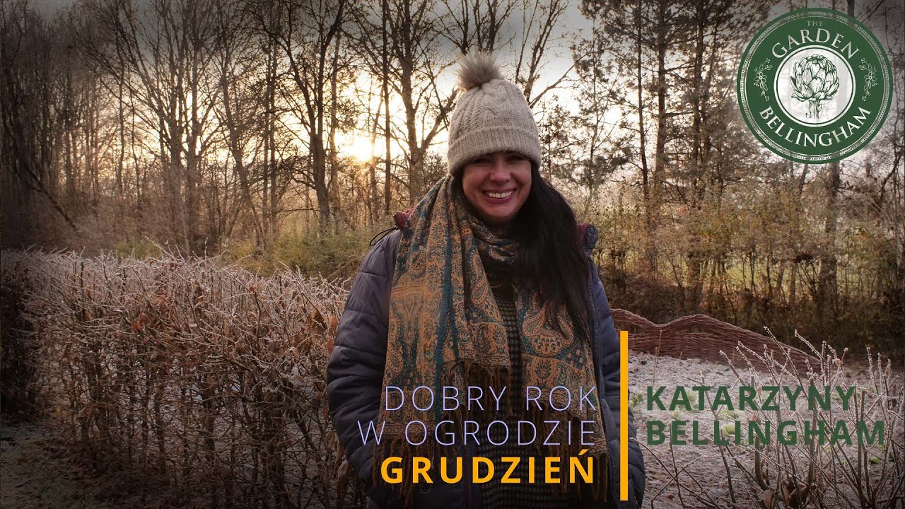 Jakie byliny wyglądają najpiękniej na zimowej prerii❄️ Co można robić w zmrożonym ogrodzie?