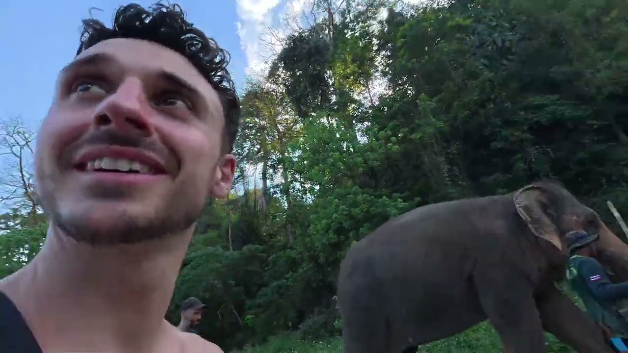 I Became The Elephant King