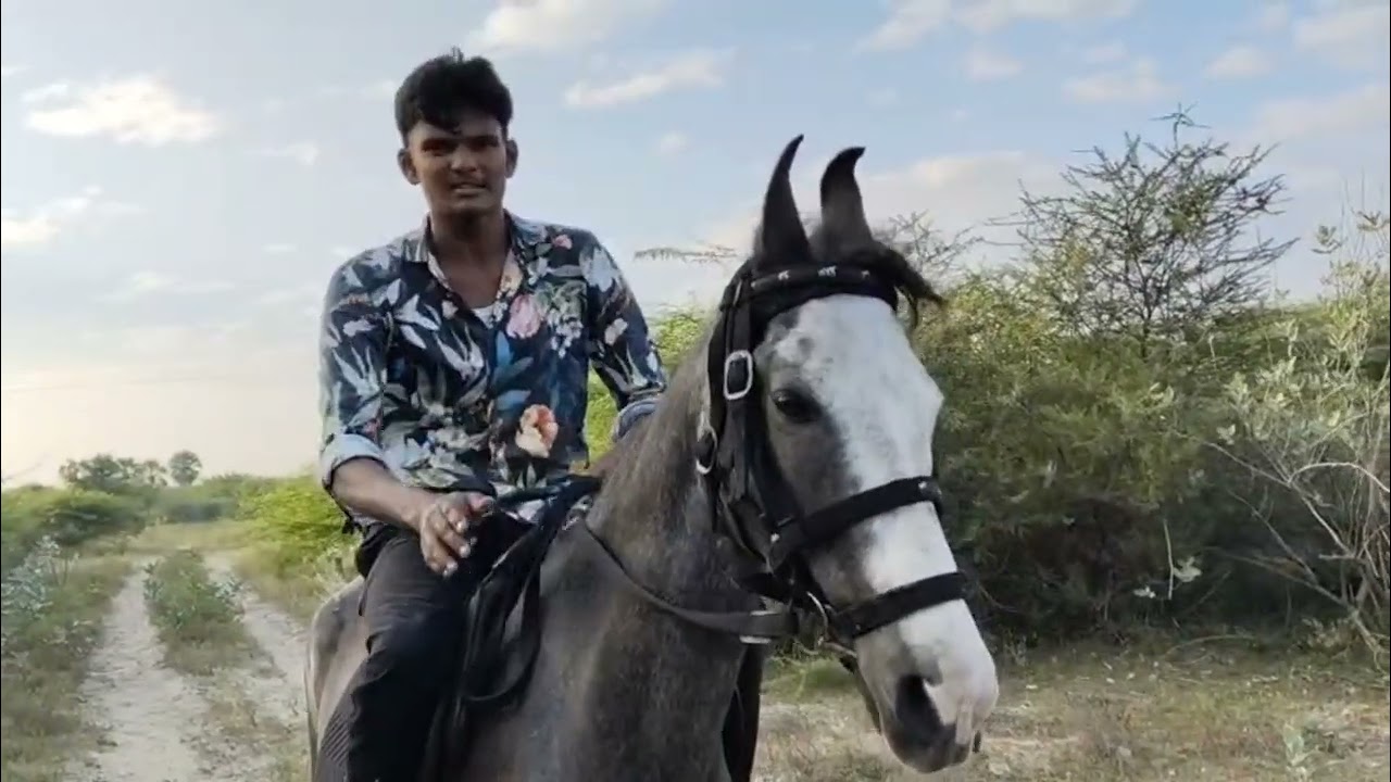 HOW TO RIDE  HORSES 🐴