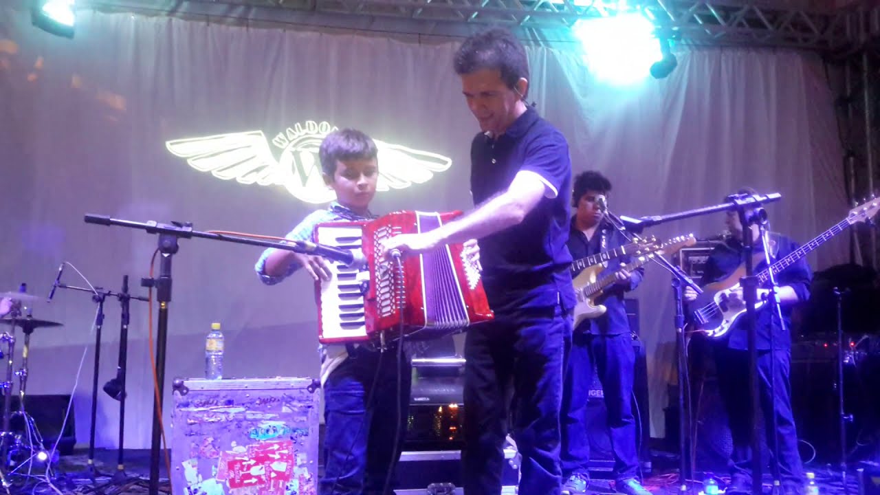 Alex do Acordeon e Waldonys