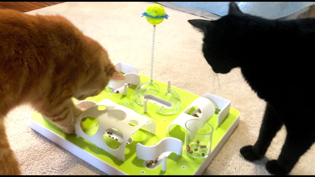 CATS TRY NEW PET TREAT FOOD PUZZLE TOY🐾