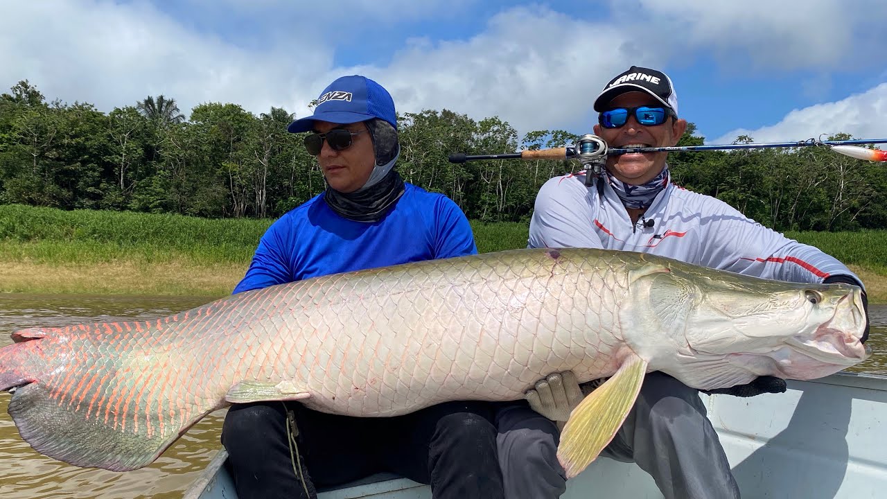 SERÁ QUE ESTE É O MAIOR QUE VC JÁ VIU ? Na isca artificial...( Arapaima gigas, pirarucu )