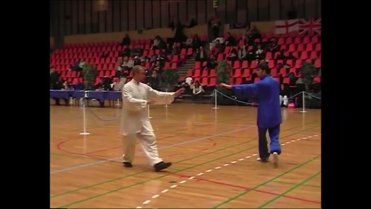 Grand sanshou &eacute;cole TAO 2002 par Thierry Alibert 7&egrave;me Dan FFK