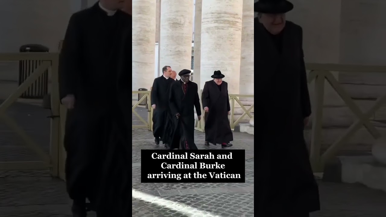 Best Cardinal Duo in the World - Cardinal Burke and Cardinal Sarah