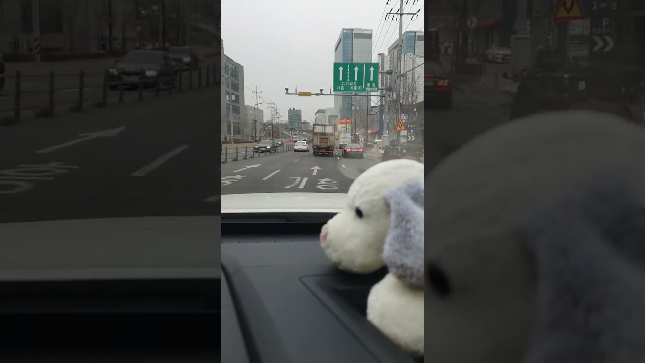 완도 배추협찬주신 백합님  만나러 왔어요