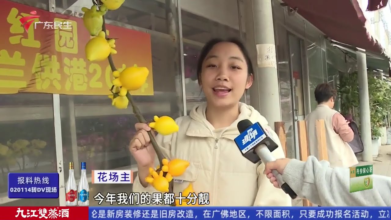 【DV现场】醒狮上岗！ 广州越秀公园新春灯会正式启幕|冷空气周末“返场” 粤北高山再现冰冻|佛山一市场凌晨突发火灾 消防紧急处置无人伤亡|20260131完整版 #粤语 #news