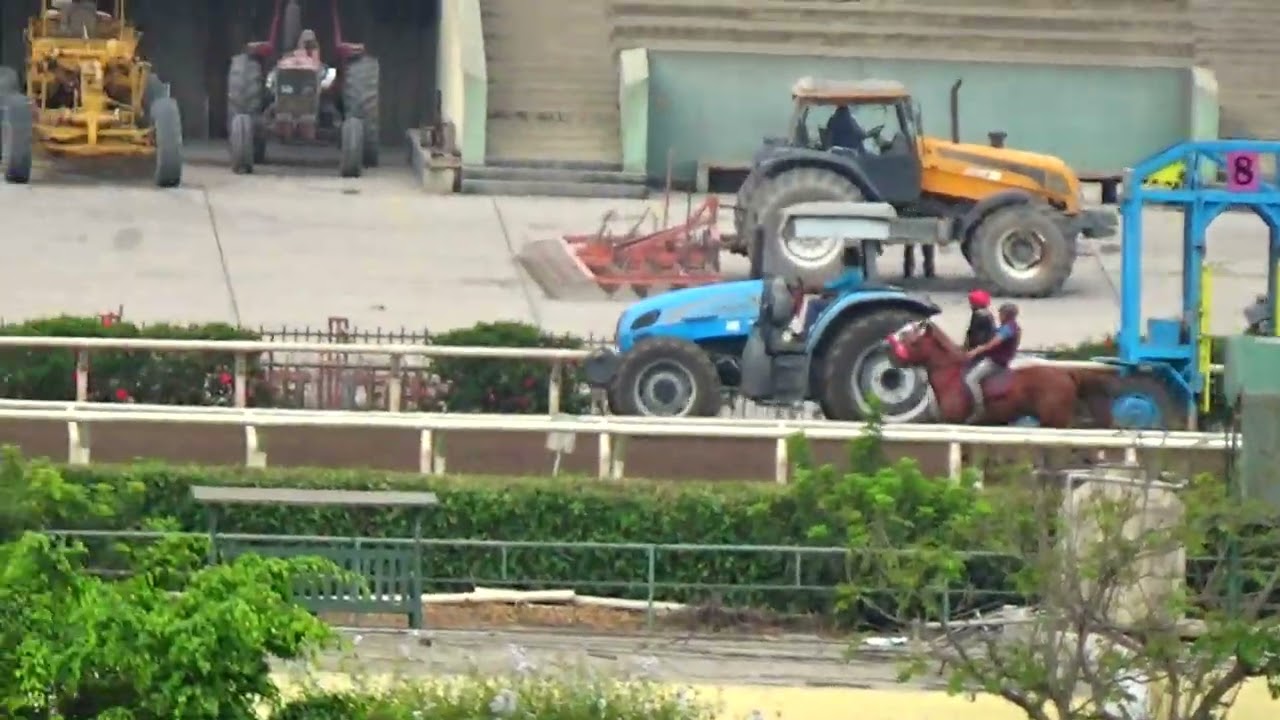 Suecia (Singe The Turf) H. Rancho Fatima 18.02.26