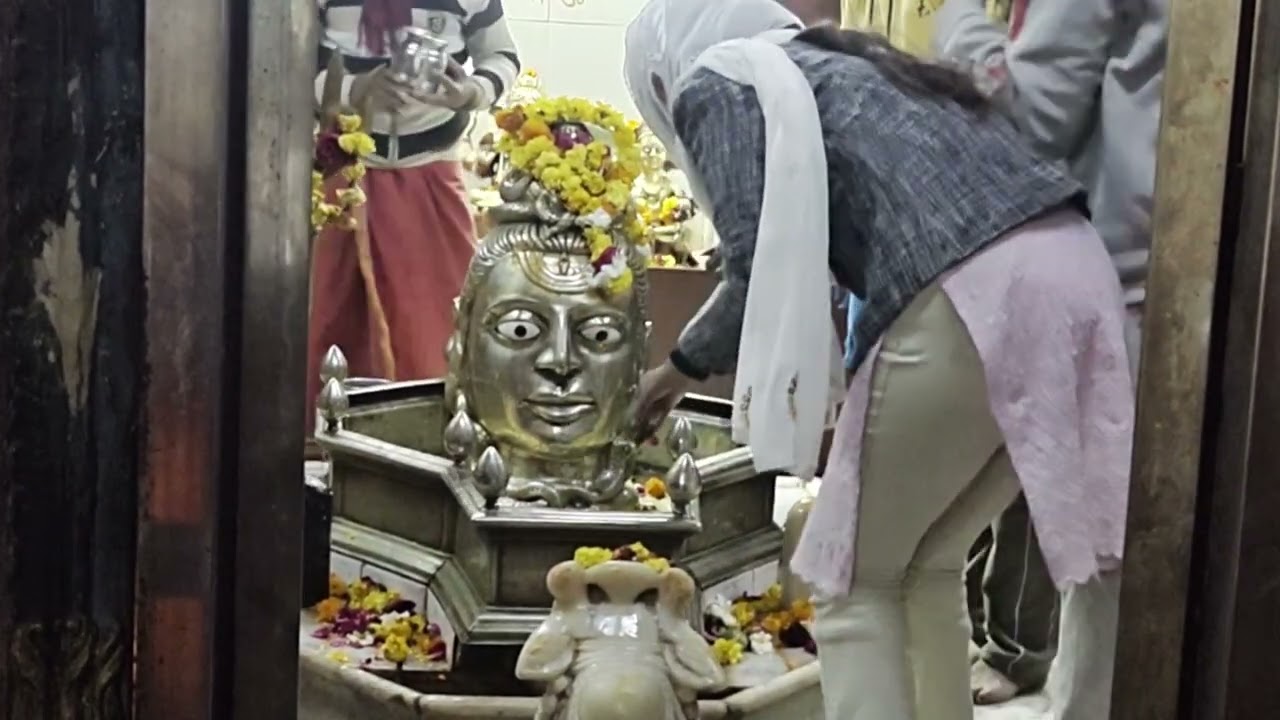  Mahashivratri vlog 🛕⛳🔱. #viral #hindu  #sanatandharma #yt #vlog #vloglife  #share #subscribe .