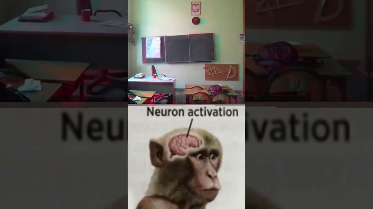 Neuron Activation Meme🎓Polish School  #school 🧑&zwj;🏫#tiktok📚#viralvideo👨&zwj;🎓#poland #polishgarnek