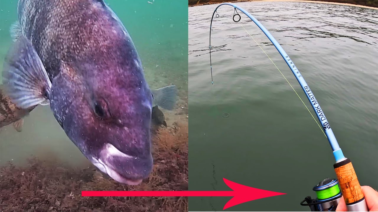 Underwater Video Shows Fish Hitting Jigs - Turn Bites Into Catches!